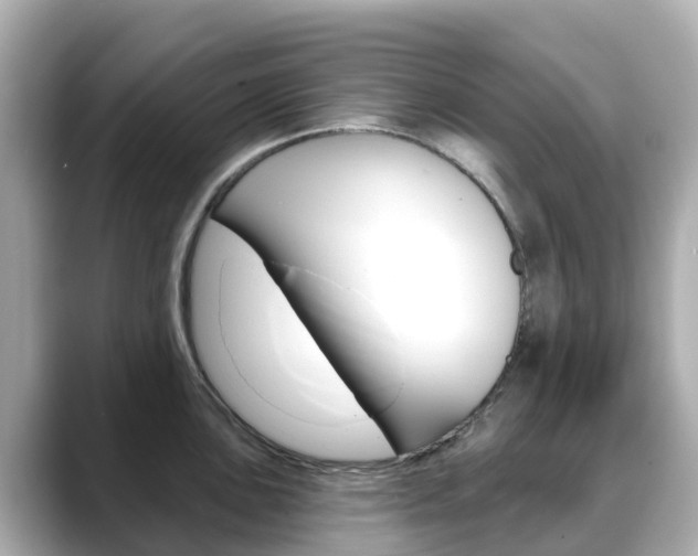 X0000088731051200705311112