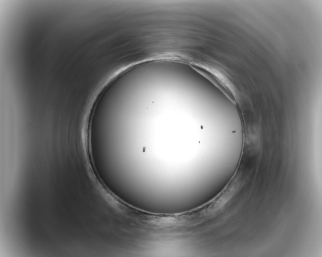 X0000088731054200705311112