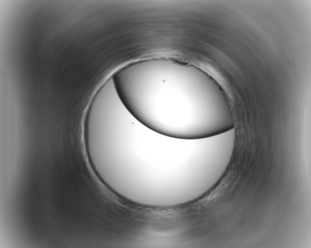 X0000088731055200705311112