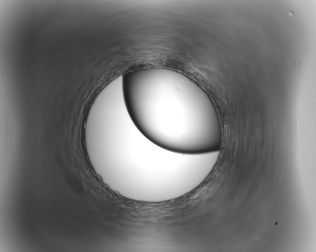 X0000088731057200705311111