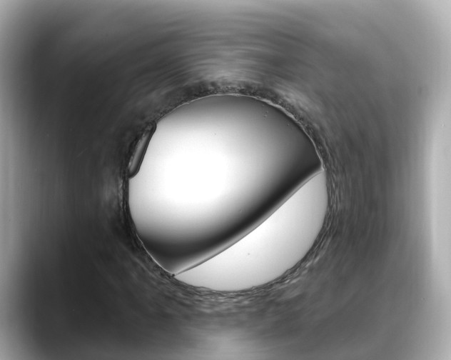 X0000088731061200705311111