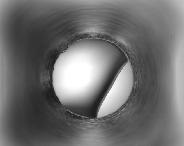 X0000088731062200705311111