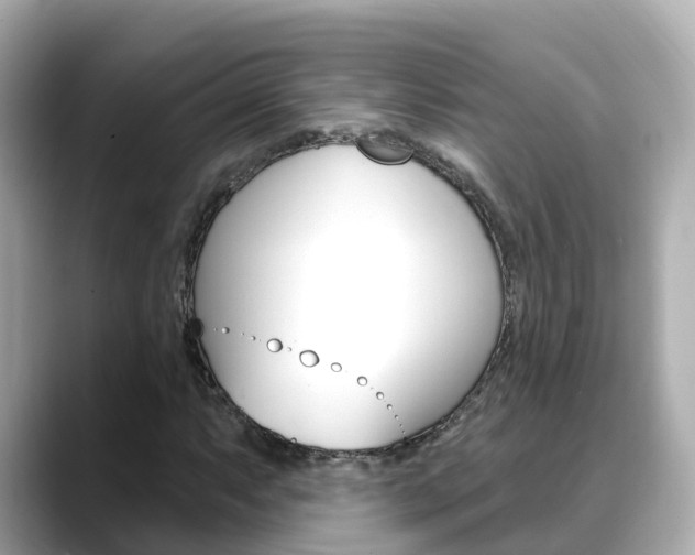 X0000088731063200705311111