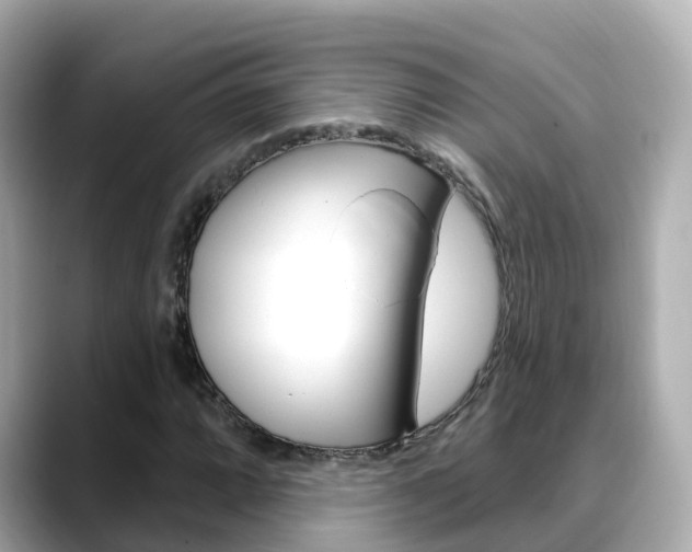 X0000088731064200705311111