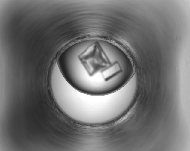 X0000088731065200705311111