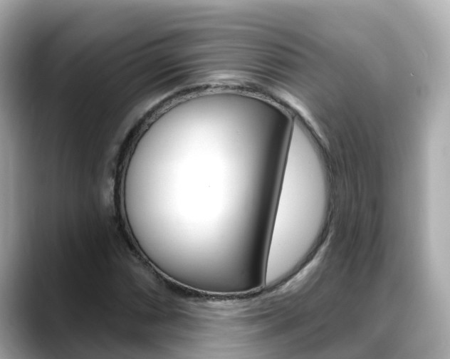 X0000088731066200705311111