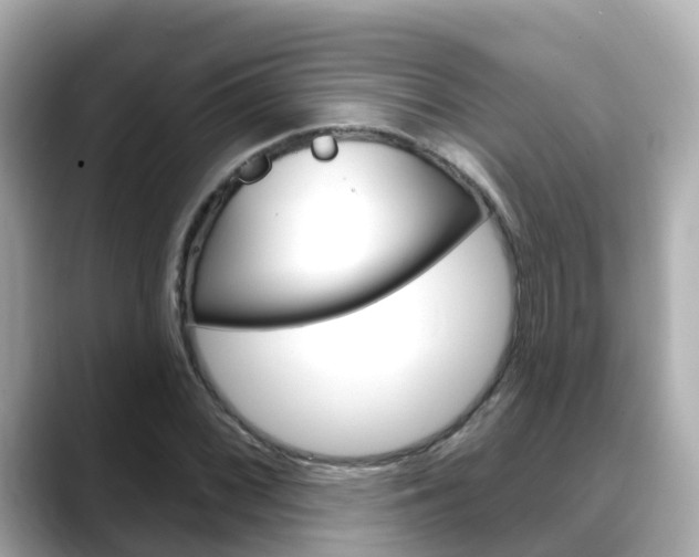 X0000088731068200705311111