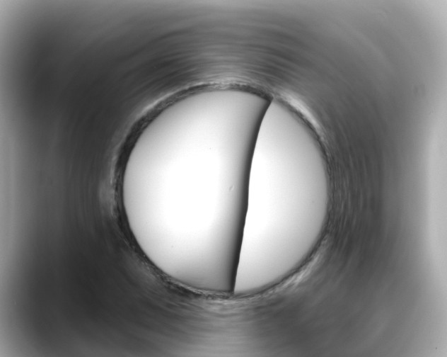 X0000088731071200705311111