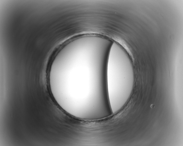 X0000088731072200705311111