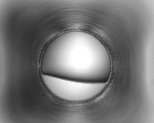 X0000088731073200705311111
