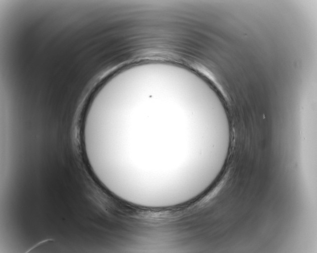 X0000088731074200705311111