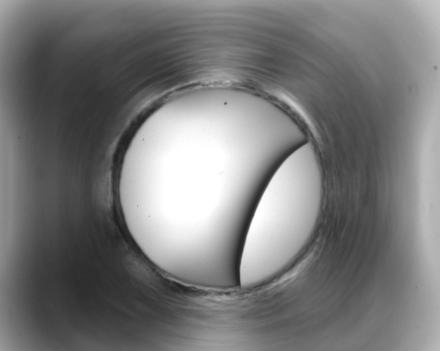 X0000088731075200705311111