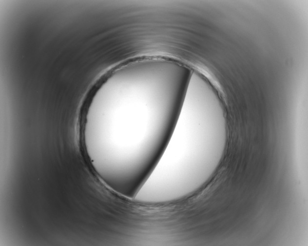 X0000088731076200705311111