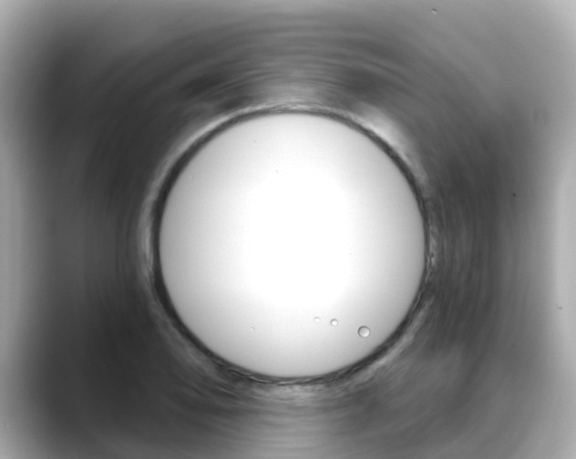 X0000088731078200705311111
