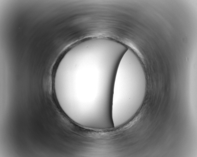 X0000088731079200705311111