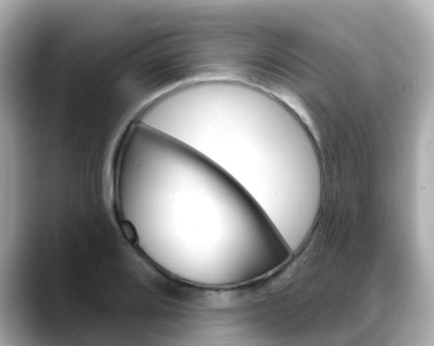 X0000088731080200705311111