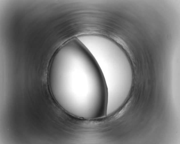 X0000088731081200705311111