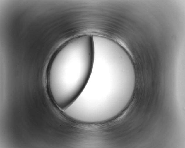 X0000088731082200705311111