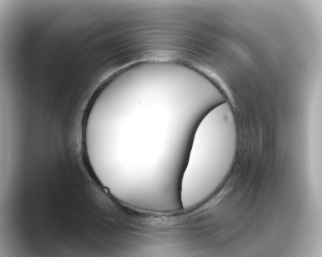 X0000088731083200705311111