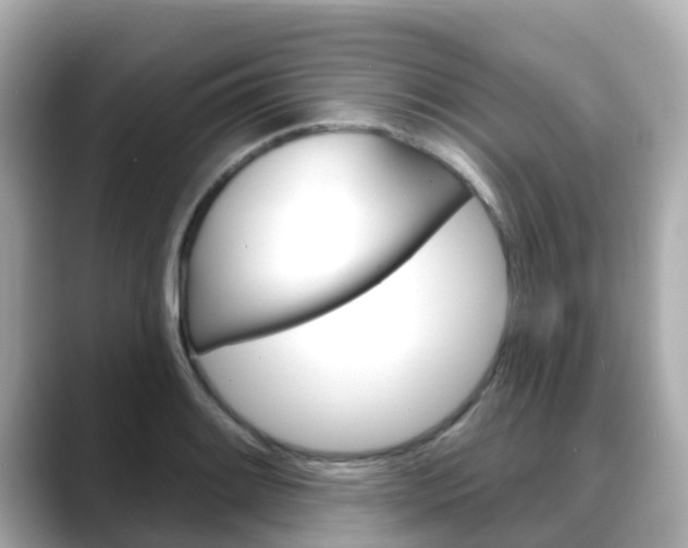 X0000088731084200705311111
