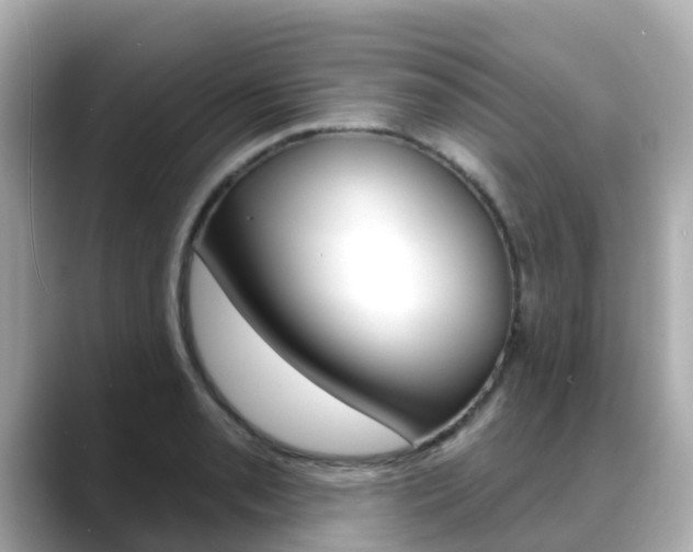 X0000088731085200705311111