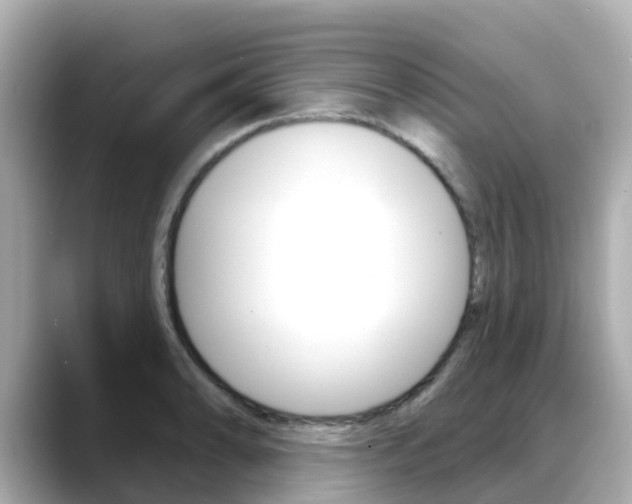 X0000088731086200705311111