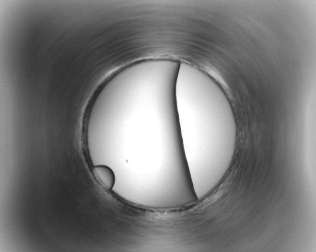 X0000088731087200705311111