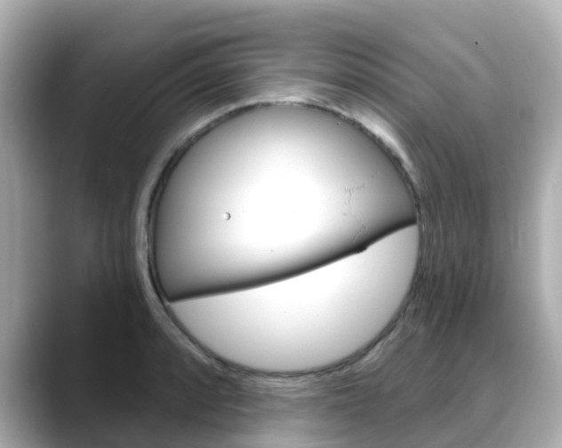 X0000088731088200705311111