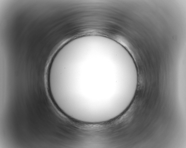 X0000088731090200705311111