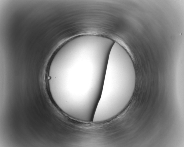 X0000088731091200705311111