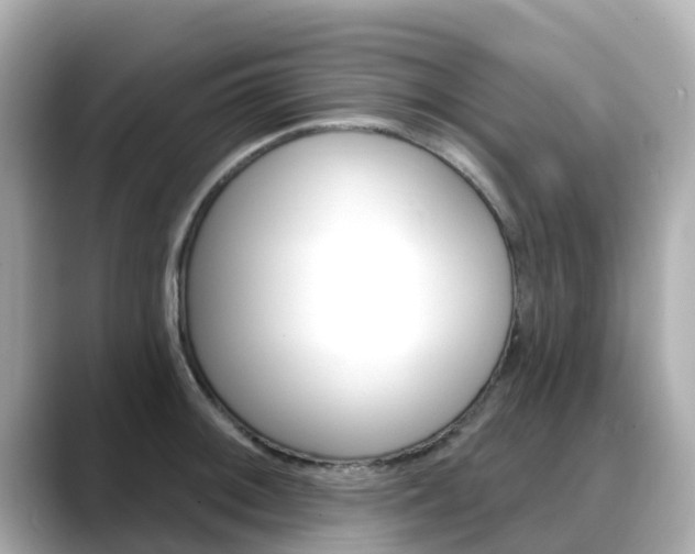 X0000088731092200705311111
