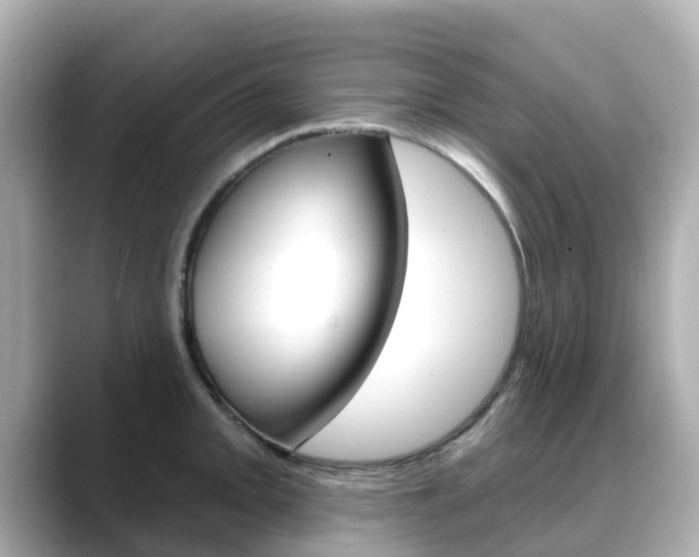 X0000088731093200705311111