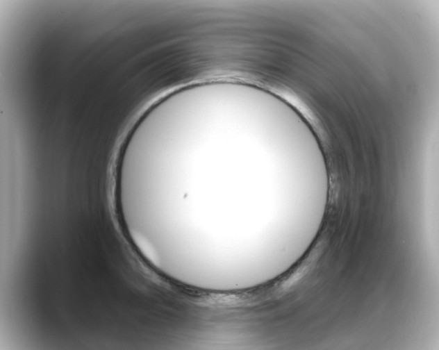 X0000088731094200705311111