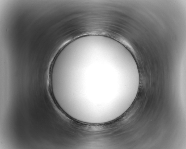 X0000088731095200705311111