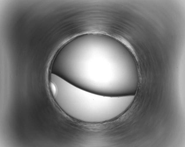 X0000088731096200705311111