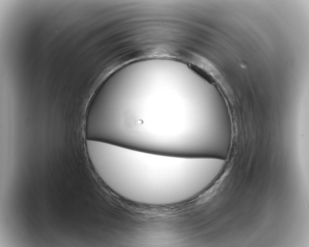 X0000088731097200705311111