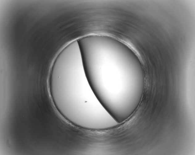 X0000088731100200705311111