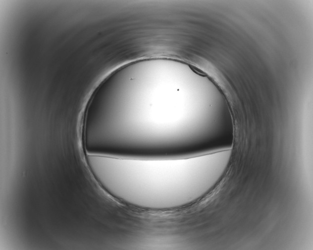 X0000088731102200705311111