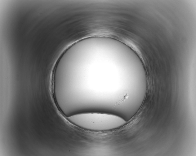 X0000088731103200705311111