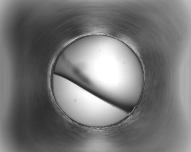 X0000088731104200705311111