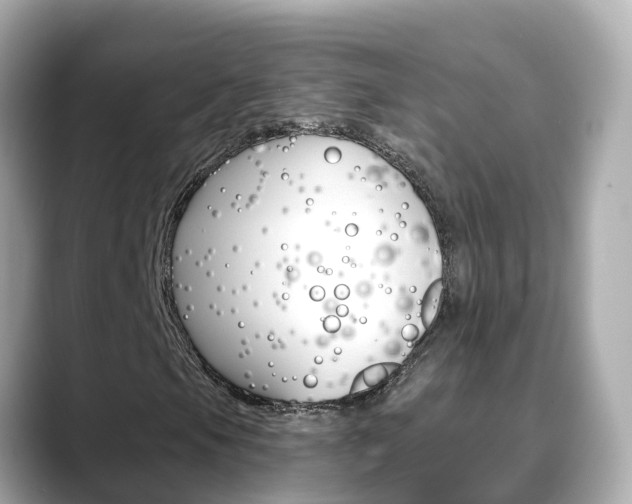 X0000088731105200705311110