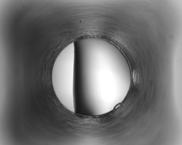 X0000088731107200705311110