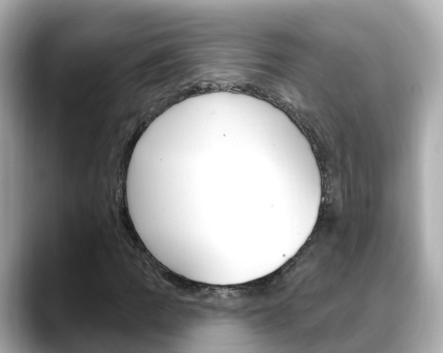 X0000088731109200705311110