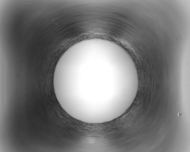 X0000088731110200705311110