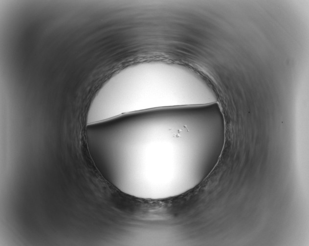 X0000088731111200705311110
