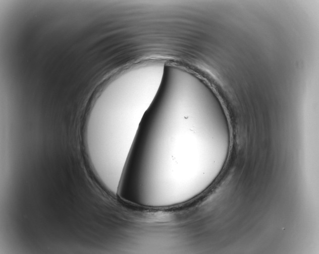 X0000088731113200705311110
