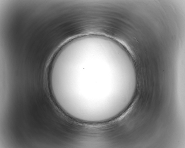 X0000088731118200705311110
