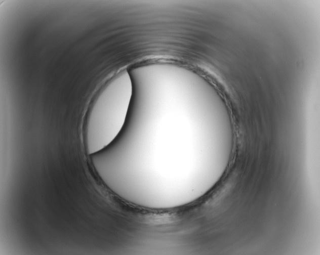 X0000088731121200705311110