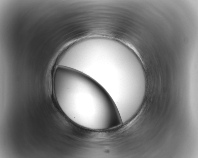 X0000088731123200705311110