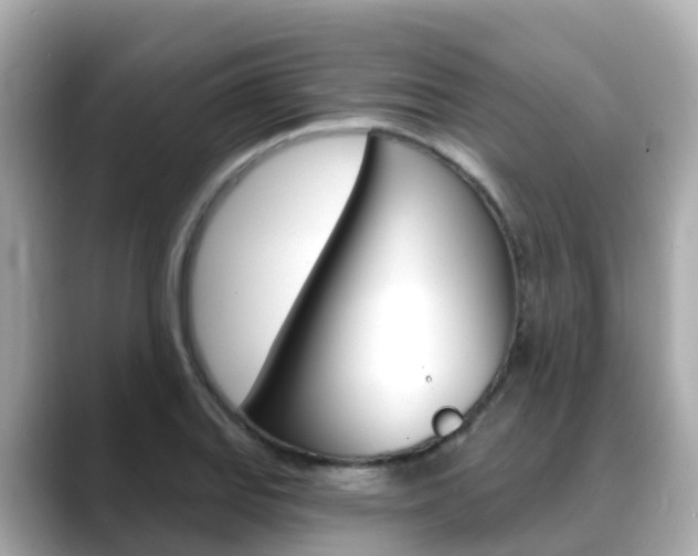 X0000088731127200705311110
